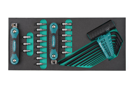 Insex & Torx 1/4  & Nycklar